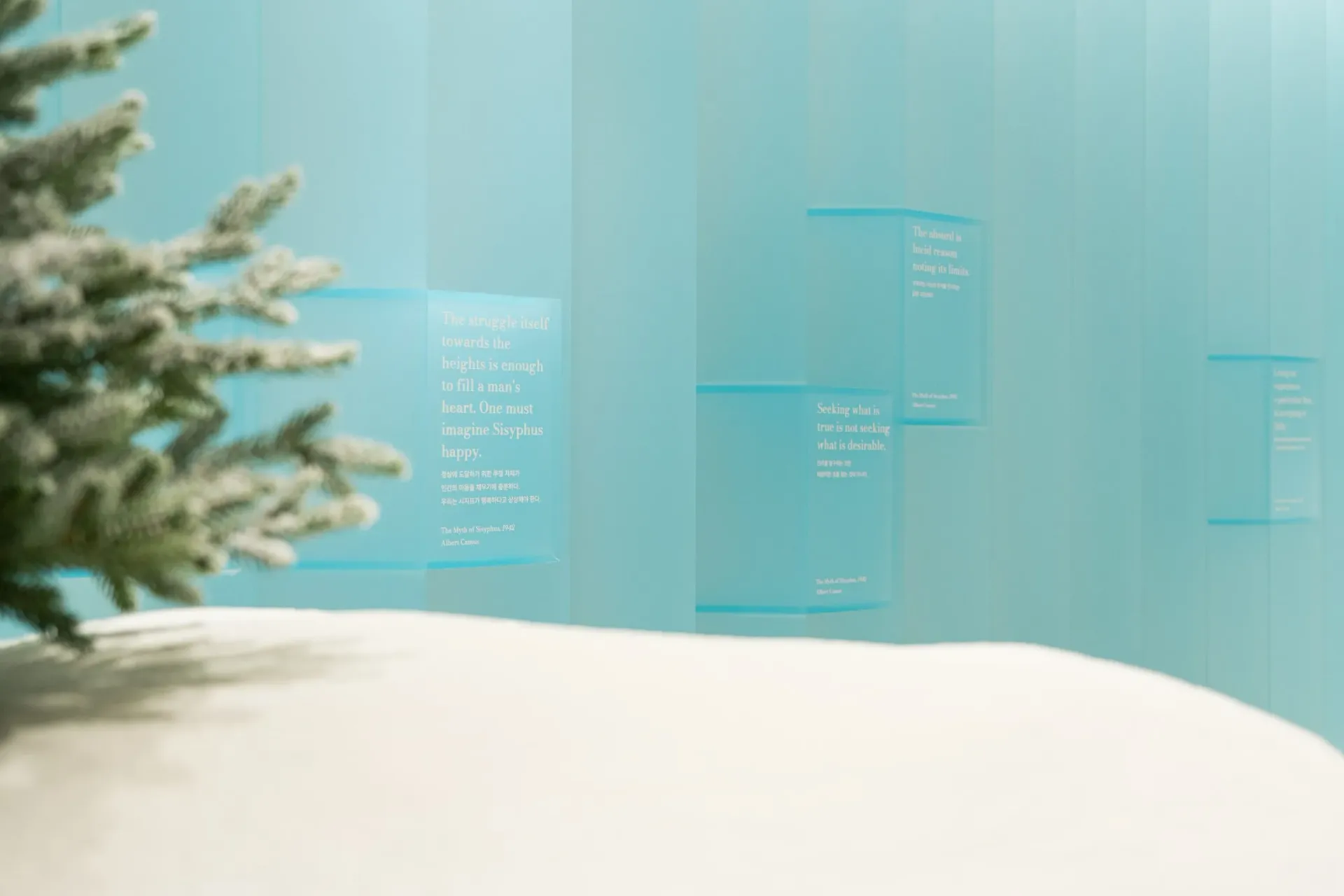 Anyway, Winter 10