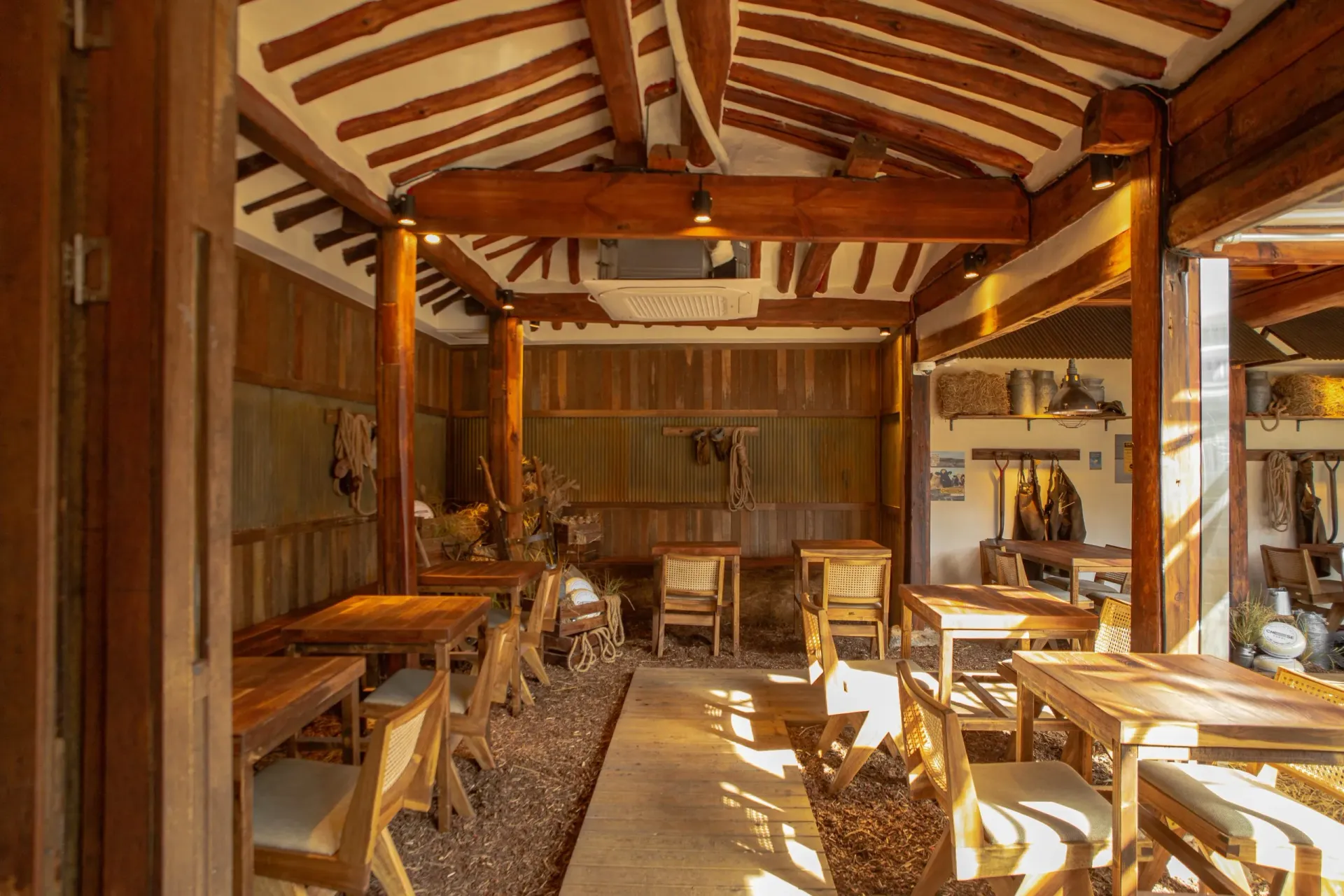 Cheese Industry 1