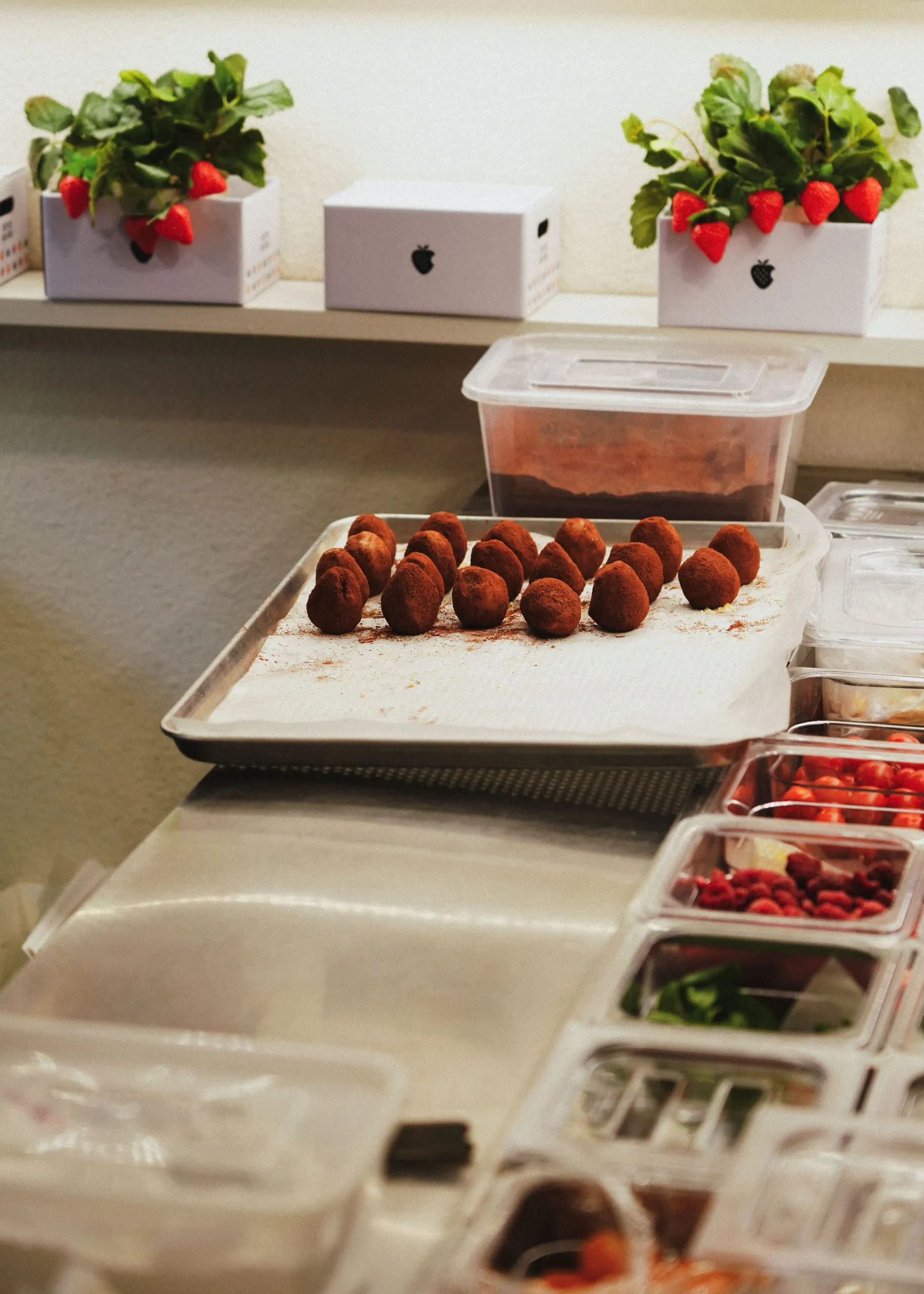 Berry Store Seoul 6
