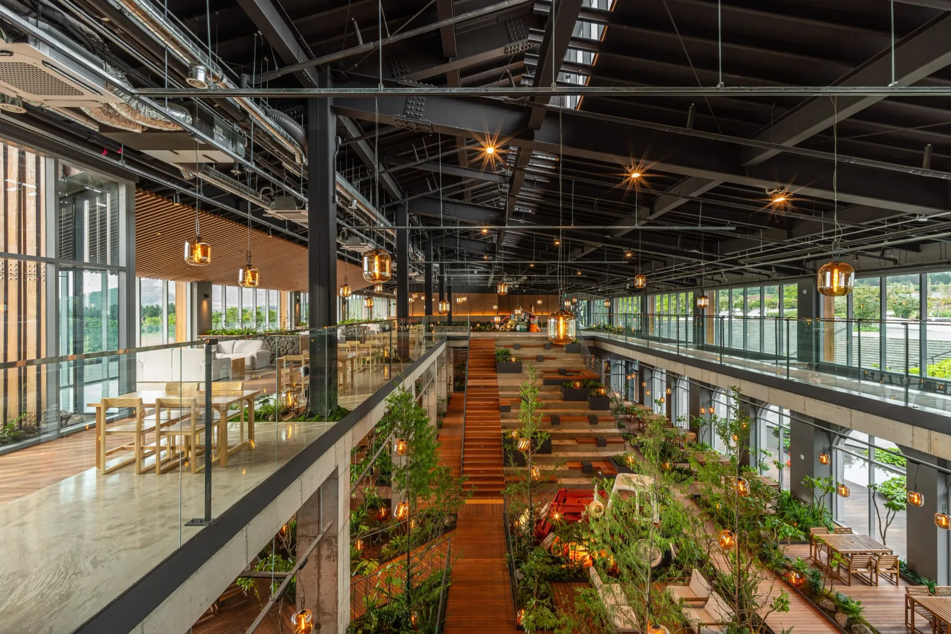 Jeju Dang 8