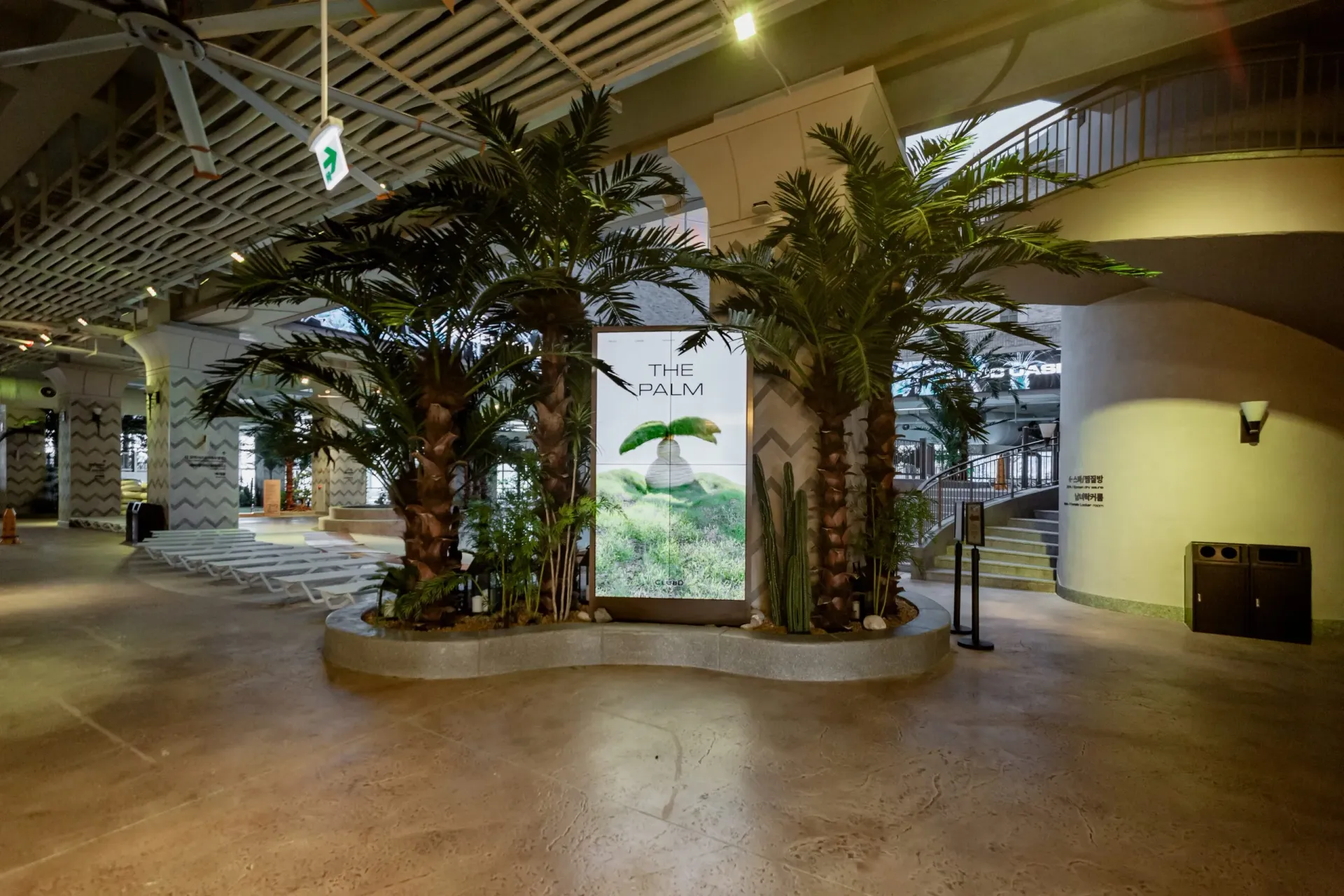 Club D Oasis 6